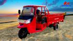 Air Cooled Engine Dayang 200cc/250cc/300cc Three Wheels Motorcycle for Petrol