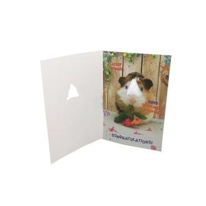 Wholesale Thank You Sound Greeting Cards For Birthday Paper PCB Boards Material ODM OEM from china suppliers