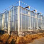 Modern venlo hot dip galvanized steel pipe polycarbonate greenhouse structure