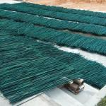 Customized Size Painted Bamboo Poles