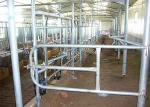Wholesale Automatic High Configuration Milking Processing Parlour with ACR System from china suppliers