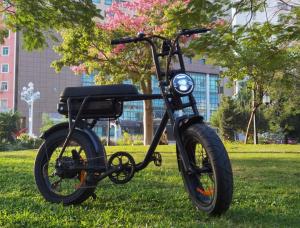 Wholesale EB2 20 X 4.0 Fat Tire Electric Bike With 200KGS Max Loading from china suppliers