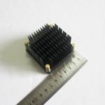 Durable Antirust Black Anodized Heat Sink , Anti Corrosion Cold Forging Heatsink