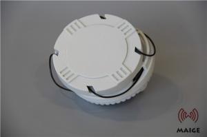 Wholesale Double Frequency EAS Alarm Tag 1200 Mm Lanyard Length Grey Color Simple Operating from china suppliers