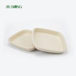 Bagasse Takeaway Disposable Sugarcane Paper Plates Biodegradable
