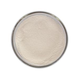 China Baking Industry Enzymes 100000U/G Amylase Enzyme For Bread on sale