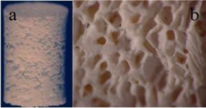 Wholesale Hydroxyapatite ceramic scaffold from china suppliers
