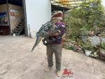 Customized Realistic Baby Animatronics Dinosaur Hand Puppet