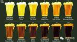 Looking for Beer Making Machines/Beer Production and Filling Equipment/Beer