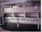 High Standard FRP Lab Fume Hood in Laboratory Furniture From China Lab Factory