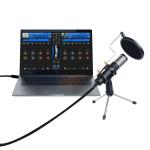 USB Mic 270° Rotation Sound Recording Microphone , Professional Condenser
