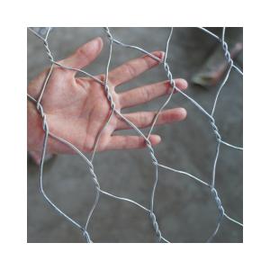 Wholesale Galvanized Gabion Wire Mesh in Philippines/Thailand TT/Western Union Payment Term from china suppliers