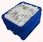 Oversized 400L Blue Insulated Fish Container