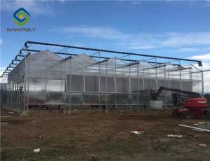 Wholesale Hot Dipped Galvanized Steel 7.5m Polycarbonate Greenhouse from china suppliers