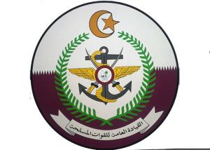 Wholesale Round Shape Custom made Trophy , Raised Logo Metal Army Badge Coin from china suppliers
