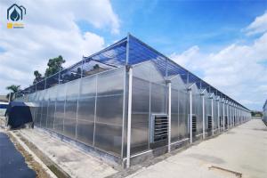 Wholesale Crop Growth Polycarbonate Greenhouse With Snow Resistant Aluminum Frame from china suppliers