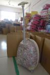egg shaped kids trolley luggage bag suitcases in baigou baoding hebei China