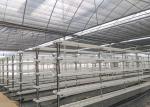 Vertical Automated Pvc Nft Hydroponics System Nft Hydroponic Farm