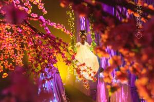 Wholesale Floating 3D Holographic Display Hologram Musion Eysliner Foil 5x30m from china suppliers