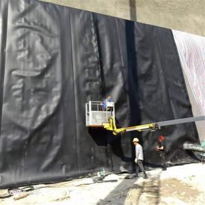 Wholesale 1m-8m Width Asian Design Style Reinforced HDPE LDPE Geomembrane for Landfill 1mm 2mm from china suppliers