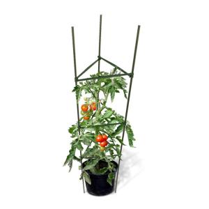 Wholesale 3 Stick 120cm 16mm Adjustable Potted Metal Garden Plant Stakes from china suppliers