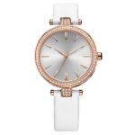 Multiapplication Genuine Diamond Quartz Watch 200mm Peripheral