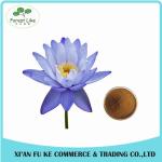 China Manufacturer Blue Lotus Extract/Dried Blue Lotus Flower Extract/GMP Blue