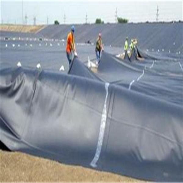 Waterproofing Landfill Biodigester Liners Geomembrane with Standard GB/ASTM GRI