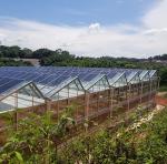 Multi-Span Design Innovative Solar Greenhouse for Initial Payment and Commercial