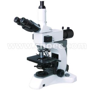 Wholesale Infinity Plan Fluorescence Microscope Halogen Lamp A16.1029 40x - 1000x from china suppliers