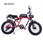Electric Bicycle GOMID 750W 48V 20 Inch E Bike Mountain Fat Tire Ebike With High