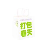 Kraft Paper White Cardboard Custom Logo Paper Bags Silk Screen Leather Rope