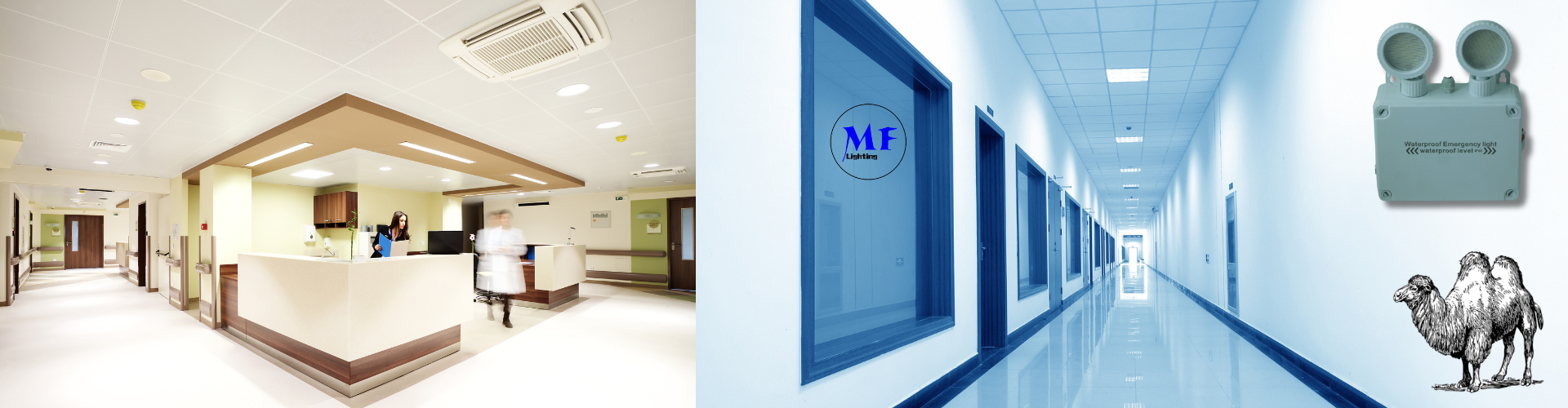 Emergency Exit LED Light IP65 Waterproof Dual Head 3h Backup Adjustable 6000K White ABS Housing for Indoor Use