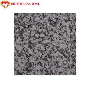 China G439 White Granite Tiles Cut To Size For Granite Bathroom Countertop on sale