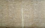 Yellow Ash Wood Veneer With Burls , Sliced Cut Wood Veneer