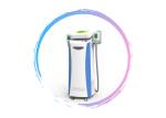 low price double handle work at the same time cryolipolysis fat freeze slimming