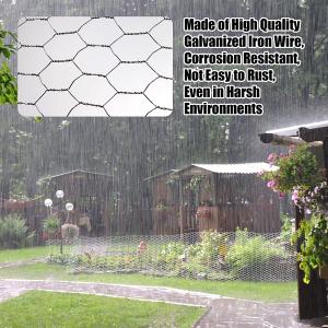 Wholesale Powder Coated 6x6 Hex Wire Mesh For Fish Cage from china suppliers