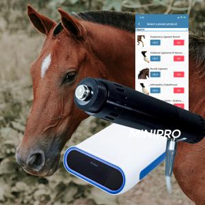 Wholesale Portable Veterinary Horse Equine Shockwave Machine For Suspensory Injuries from china suppliers
