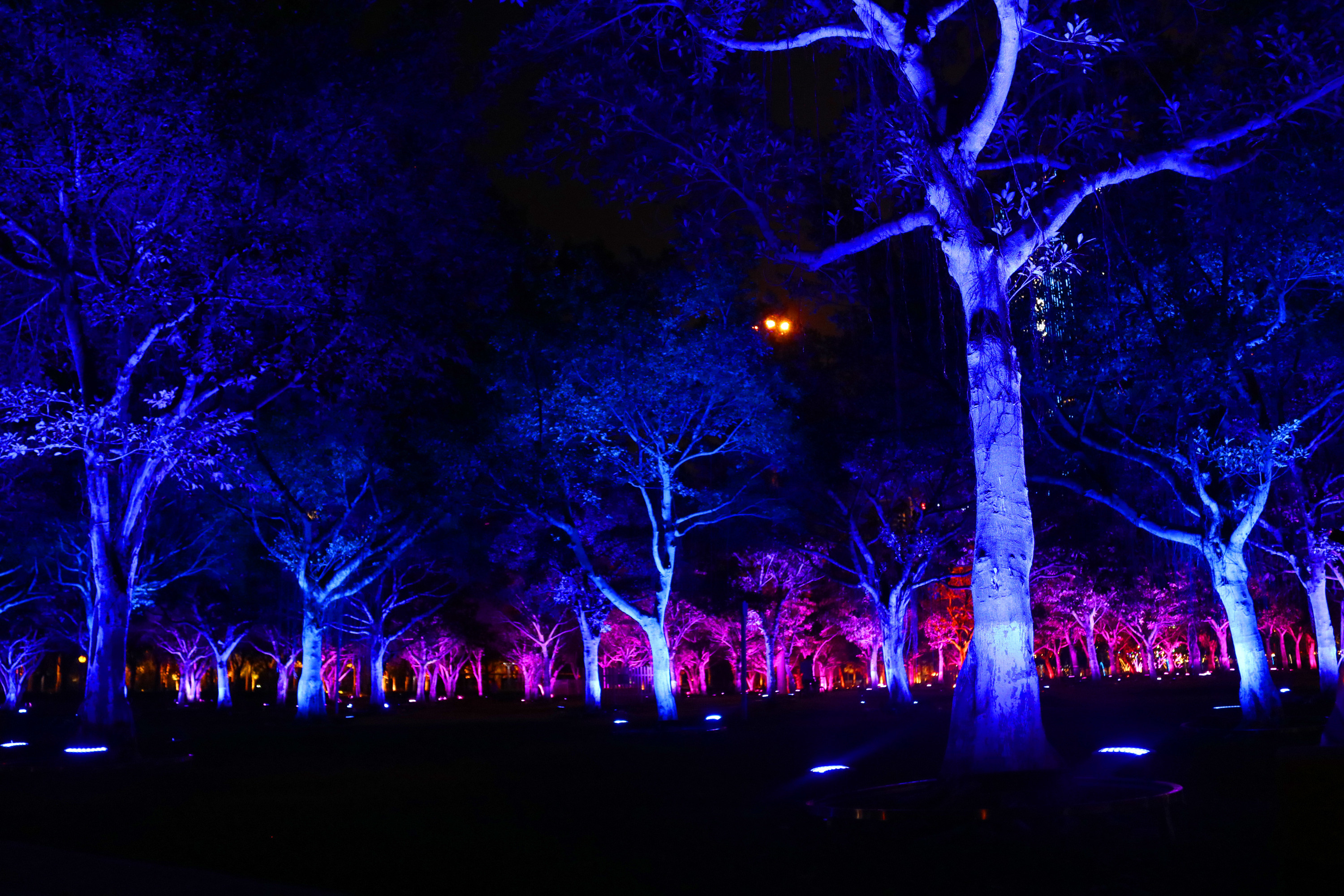 DMX512 RGBW 36W Tree LED Flood Light LED Garden Lamp For Landscape Projection