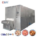 Iqf Quick Tunnel Freezer Frozen Fruit Vegetable Food Maker Equipment