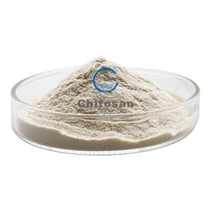 Wholesale High Molecular Weight Chitosan Powder Oligosaccharide Water Soluble from china suppliers