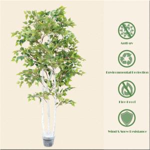 Wholesale Ornamental Plant Artificial Radermachera sinica Indoor Landscape Natural Greening from china suppliers