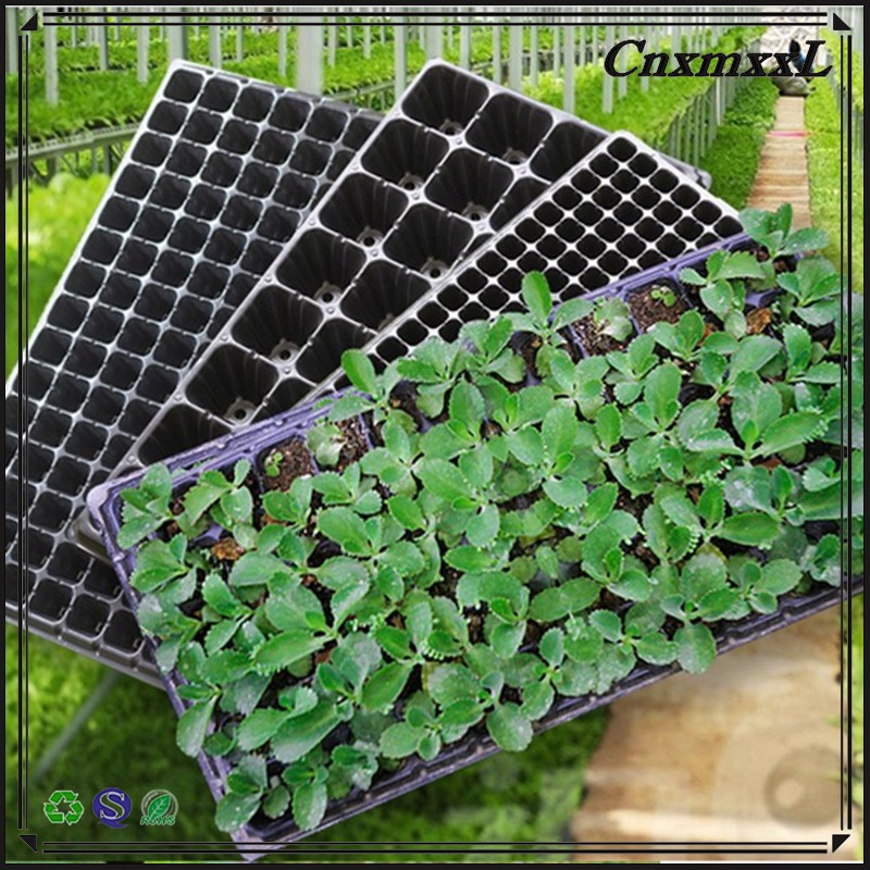 72 Hole Microgreen Hydroponic Growing Plastic Planting Tray With Drain Hole