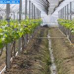 Food Grade PVC Irrigation Fertilization System Drip And Sprinkler Irrigation