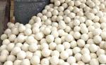 1.2% MgO Content Alumina Cement Ceramic Grinding Ball for Durable Refractory