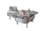 AC380V 50HZ 1000KG/H Vortex Type Vegetable Washing Machine
