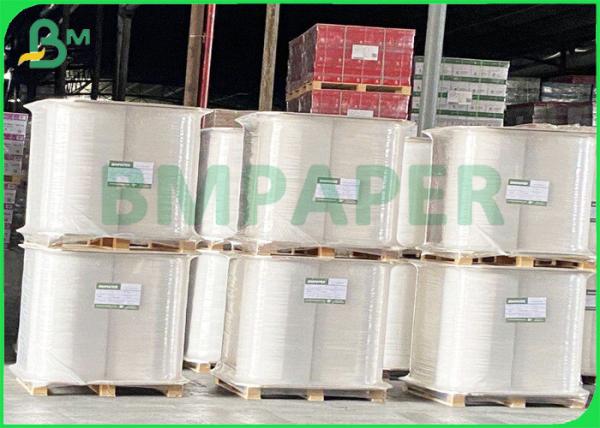 FDA Certified Eco - Friendly Straw Paper 3500 Rolls For Individually Packaged