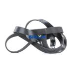 6PK1670 1084993 1320286 Ford Engine Part Belt