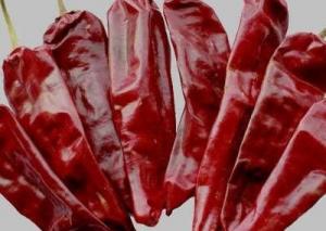 China Seasoning Dried Guajillo Chili 180 ASTA Red Hot Chili Peppers on sale