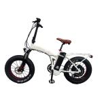 Customized Multi-colored 20 inch Snow Fat Tire Ebike with Down Tube Battery